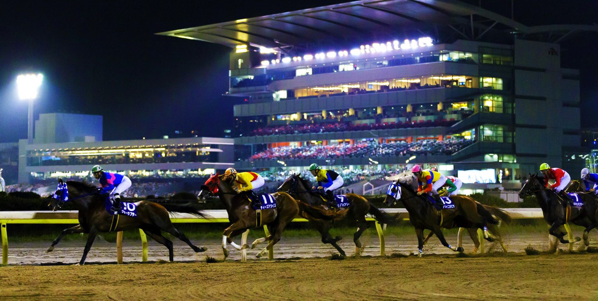 地方競馬 大井競馬場 帝王賞